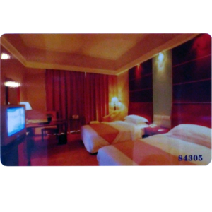 Eule RFID kartica - DOOR CARD