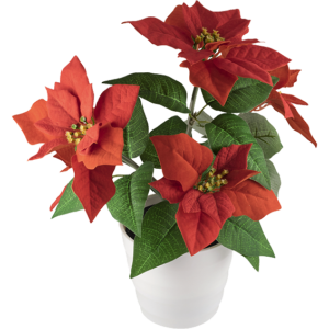 home Dekorativna rasvjeta, ruža - SCF 5